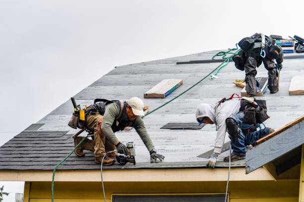 Professional Gutter Installation technician working in Williamson, GA